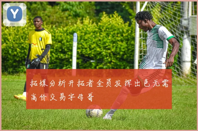 拓媒分析开拓者全员发挥出色无需高价交易字母哥