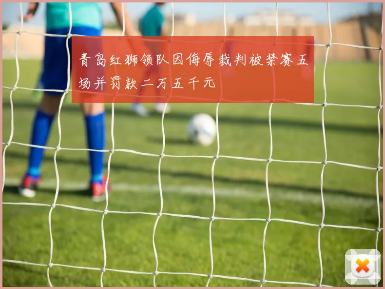 青岛红狮领队因侮辱裁判被禁赛五场并罚款二万五千元