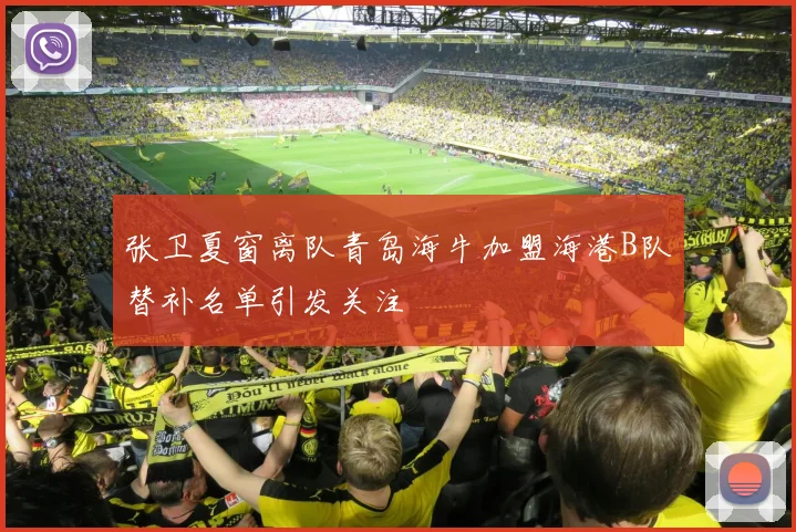 张卫夏窗离队青岛海牛加盟海港B队替补名单引发关注